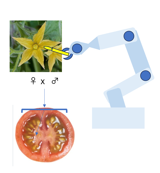 生物学×環境～大学の研究室より～２‐（28）　東京大学名誉教授 渡邊雄一郎　作業ロボットと作物、どちらが進化していく？_