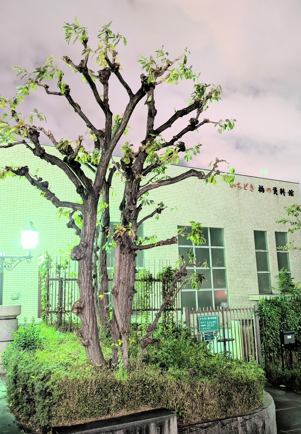 神奈川県川崎市（２０２５年10月）