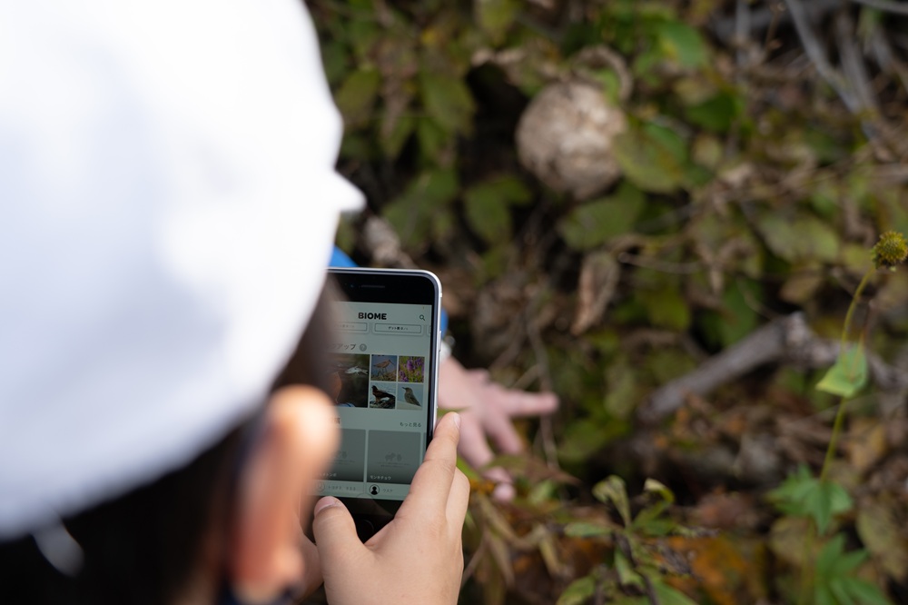 誰でも楽しみながら環境モニタリングに貢献できる
