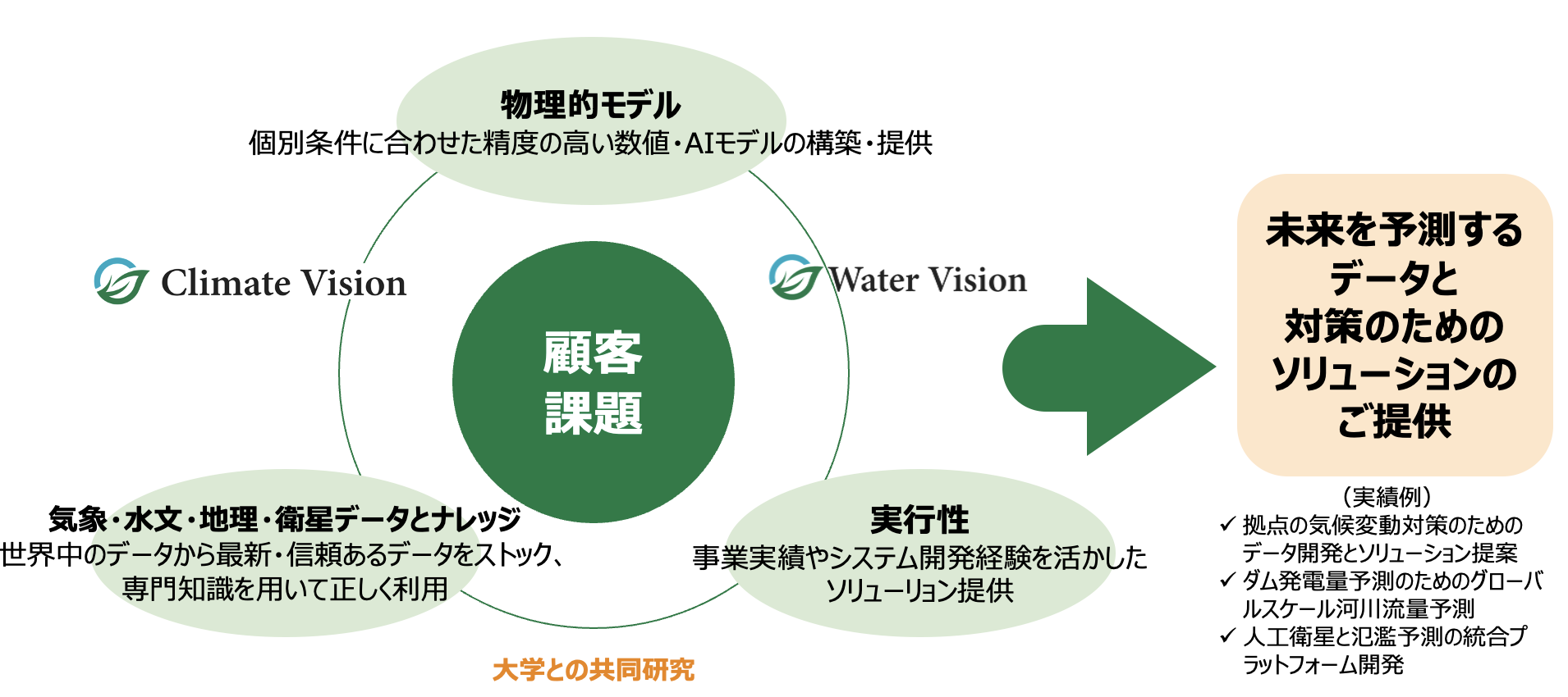 図２　Gaia Visionのカスタムソリューション事業