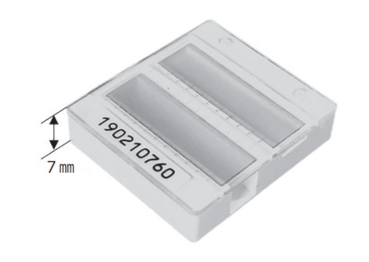 「Silver Scale」本体