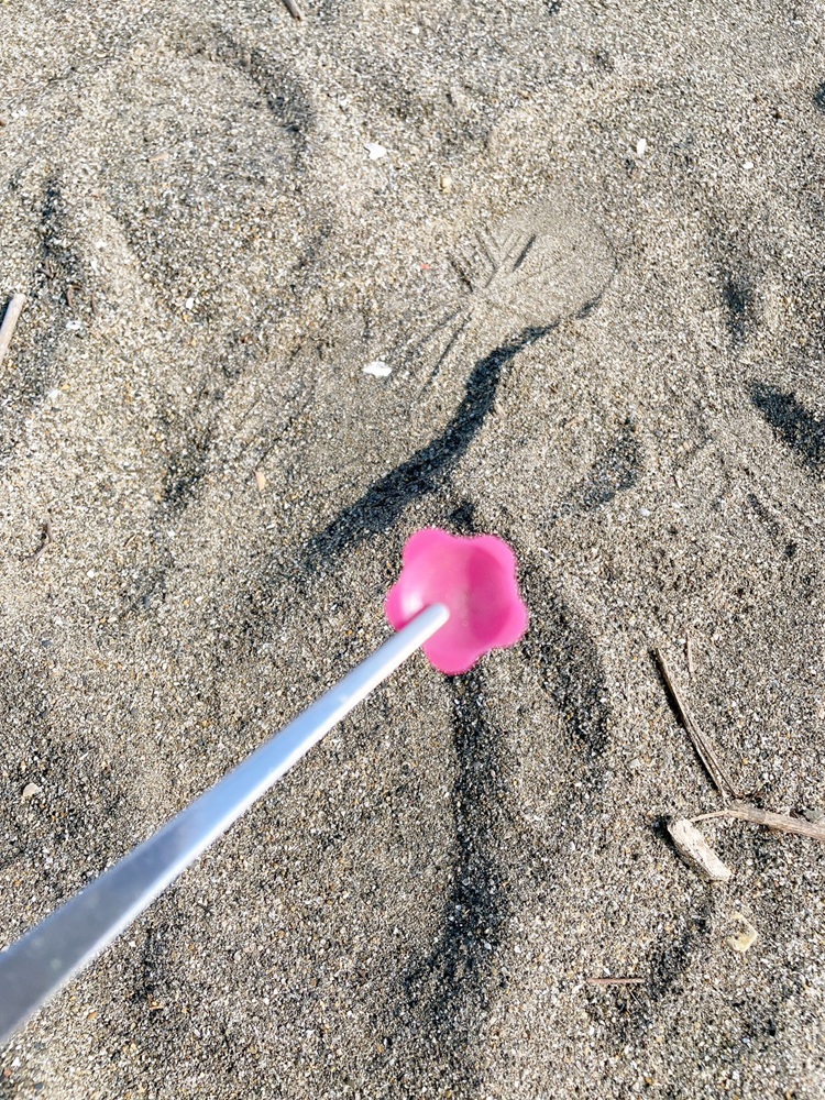 小さなプラスチックを集める会より