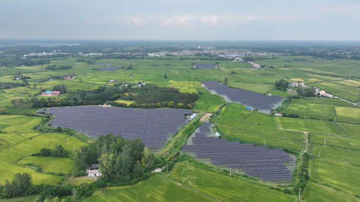 _　ＰＶ下でカニ養殖　地域収入・雇用も　中国　