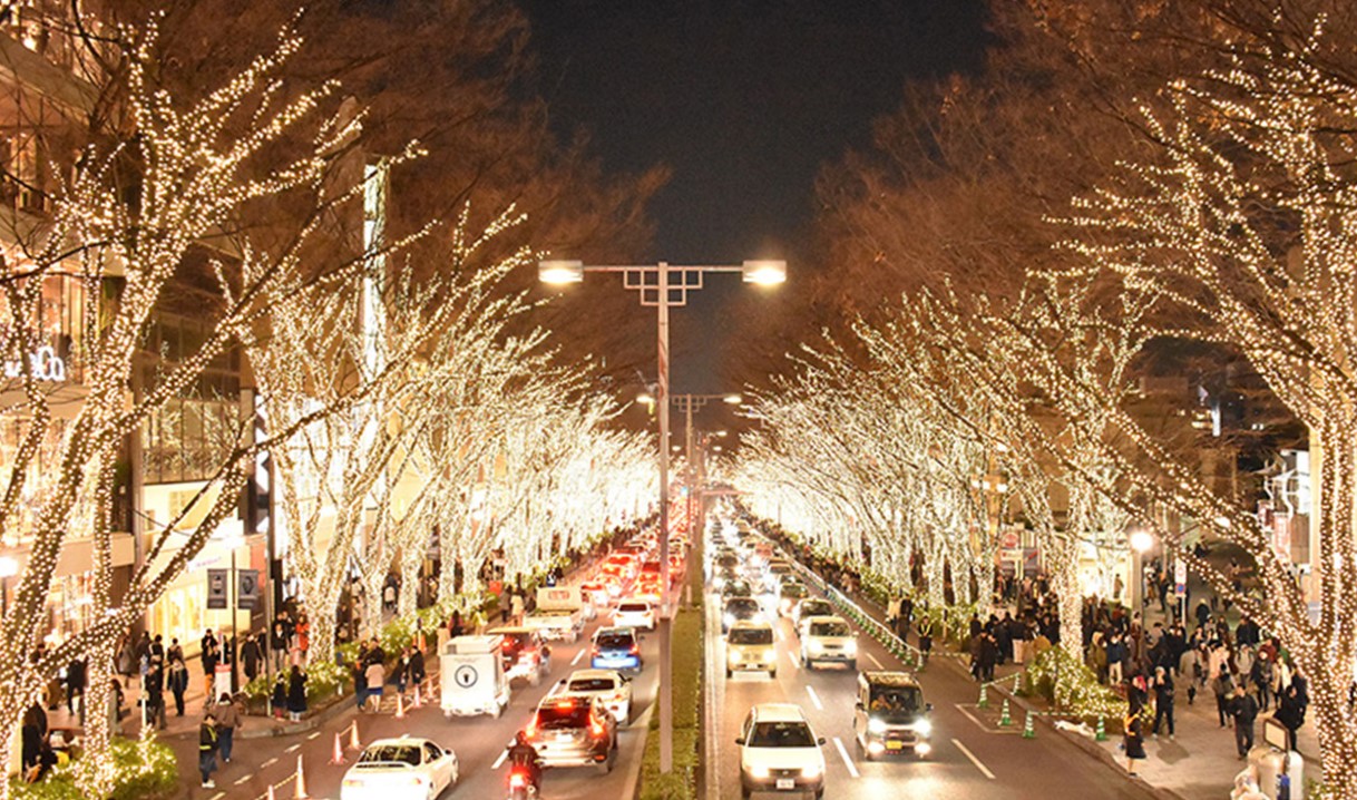 表参道のケヤキ並木に施されたイルミネーション。光のトンネルが人気を集める一方、木々への負担も懸念される（２０１９年）