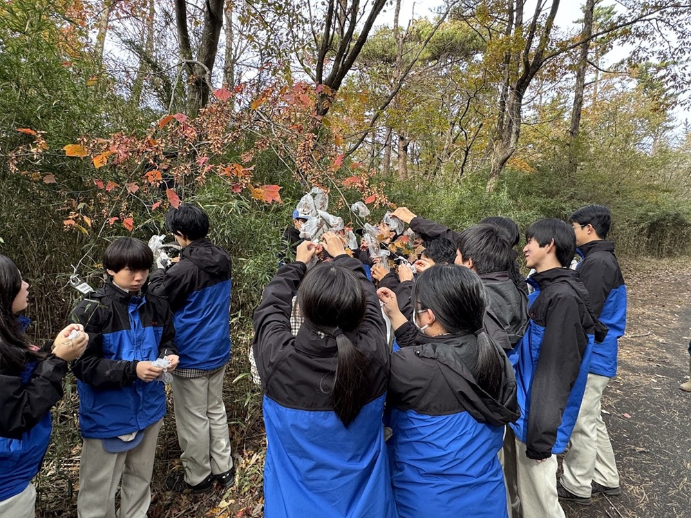 高校生が演習林で種子採取し、苗木を育成　「天然水の森」でサントリーと勢多農林高が連携_勢田農林高校の学生が種子の採取を行った