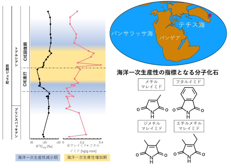 _　気候変動からの回復指標　海洋一次生産性の一端解明　山口大ら　