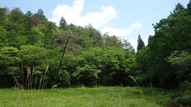 2601070309sizensaikou