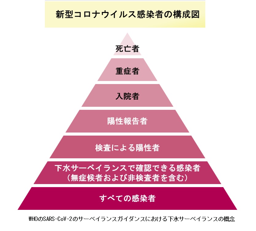 次なるパンデミックに備える―「下水サーベイランス」の社会実装の現在地　平時の感染症対策として定着を　国の成長戦略の一翼担う期待も　日本下水サーベイランス協会副会長 谷戸善彦（ＮＪＳ）、副会長 小林博幸_