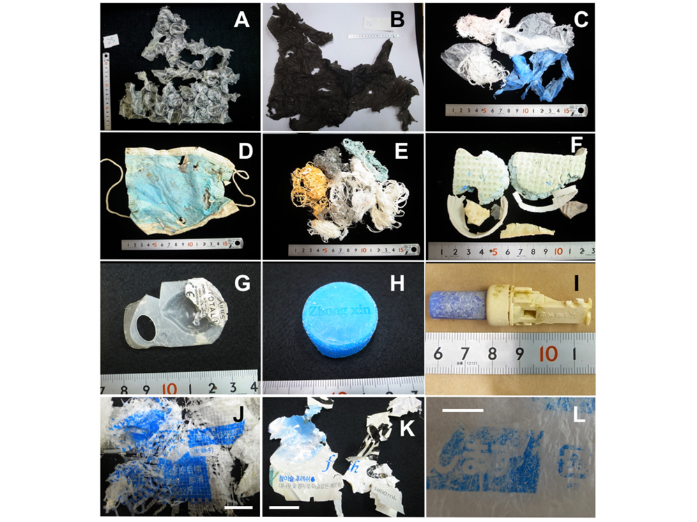 2601140306risshoudai