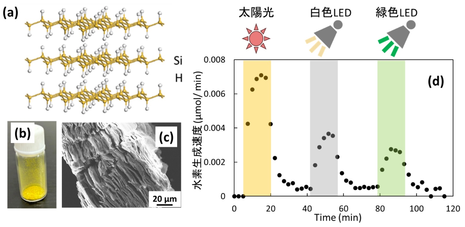 層状水素化シリカンの結晶構造（ａ）、粉末の写真（ｂ）、走査型電子顕微鏡像（ｃ）、可視光による水素放出特性（ｄ）。_　東科大らの研究チーム　光で水素を放つ個体材料発見　安全な水素キャリアの実現に　