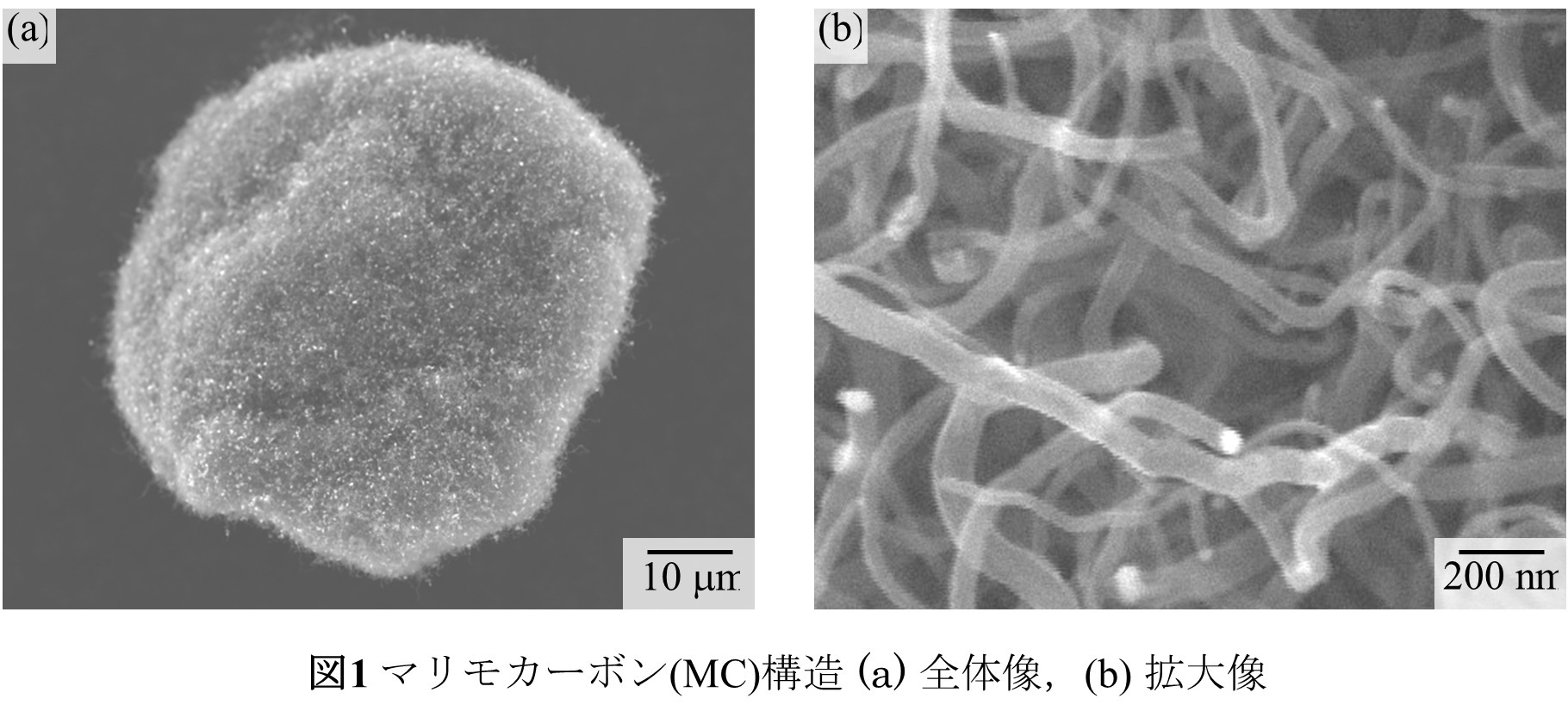 マリオカーボンの全体像（ａ）と拡大像（ｂ）_　茨城大学　マリオカーボンの特性で　燃料電池の劣化課題解決へ