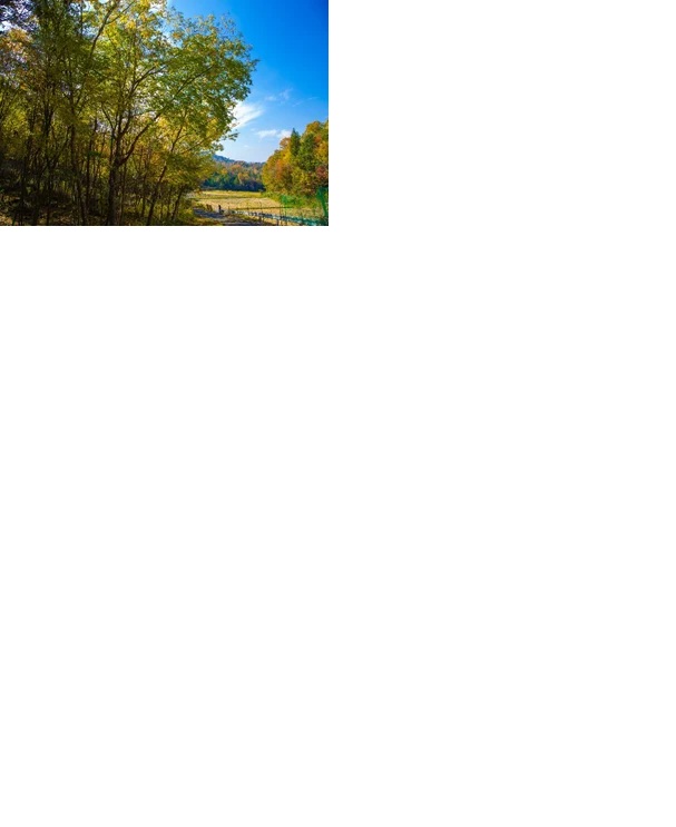 _　「ANAForest」（東広島市）が　ＯＥＣＤ「森林資源活用」優良事例に　