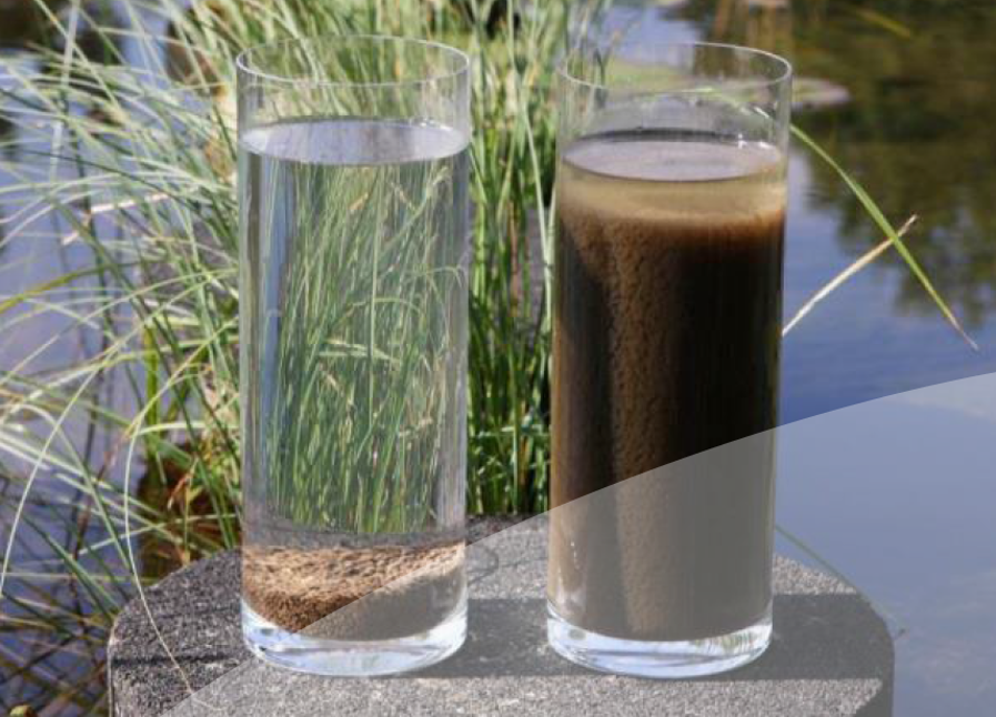 ダウンサイジング_左がグラニュール汚泥の汚水、右が通常の汚泥の汚水を入れた容器。容器に入れて２～３分放置した状態。グラニュール汚泥は早く沈降することで下水処理の時間を大幅に短縮することができる