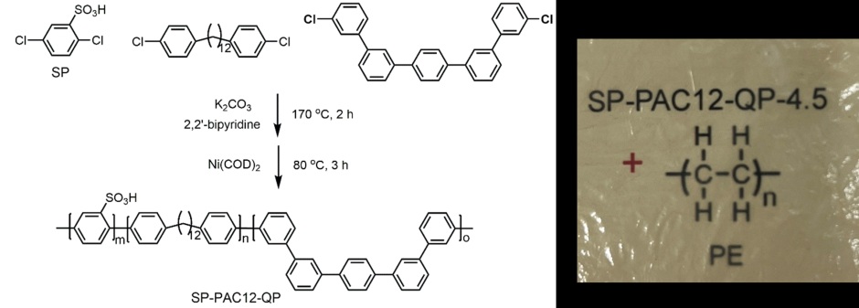 2603040307yamanasidai