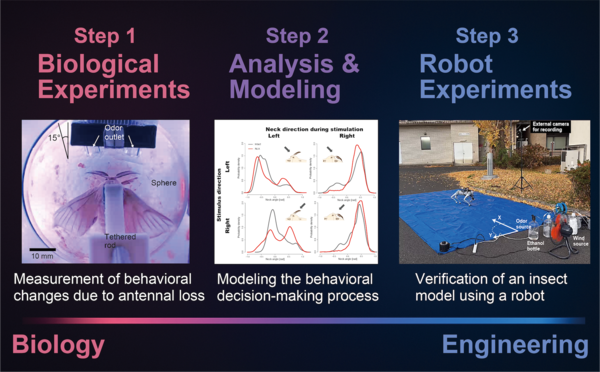 _　においロボで救助や環境監視　昆虫の行動原理を応用　ＮＩＩ