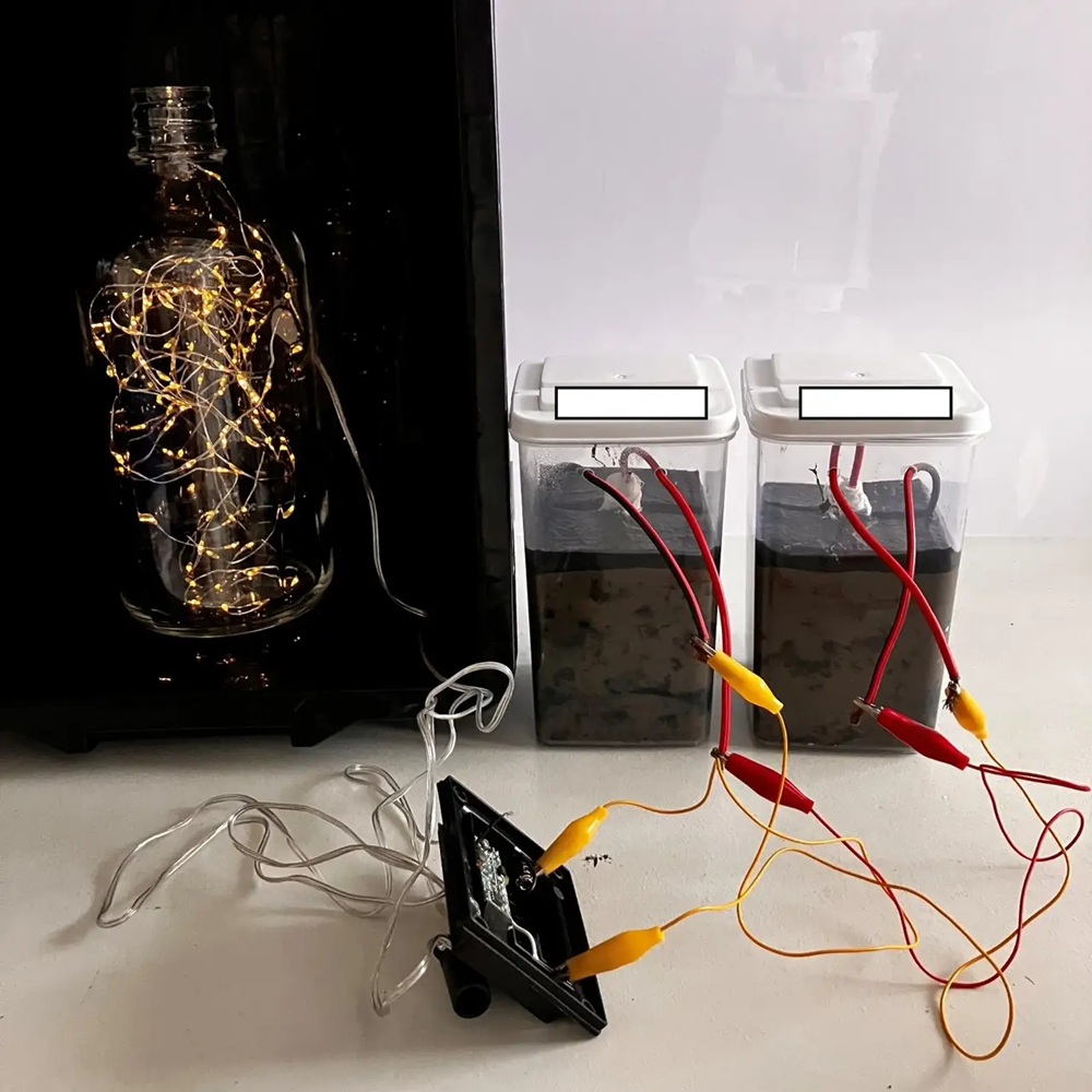 発電の様子_　土壌微生物発電で特許取得　１平方㍍５㍗、連携開発を強化　スタンダード・リンクら　