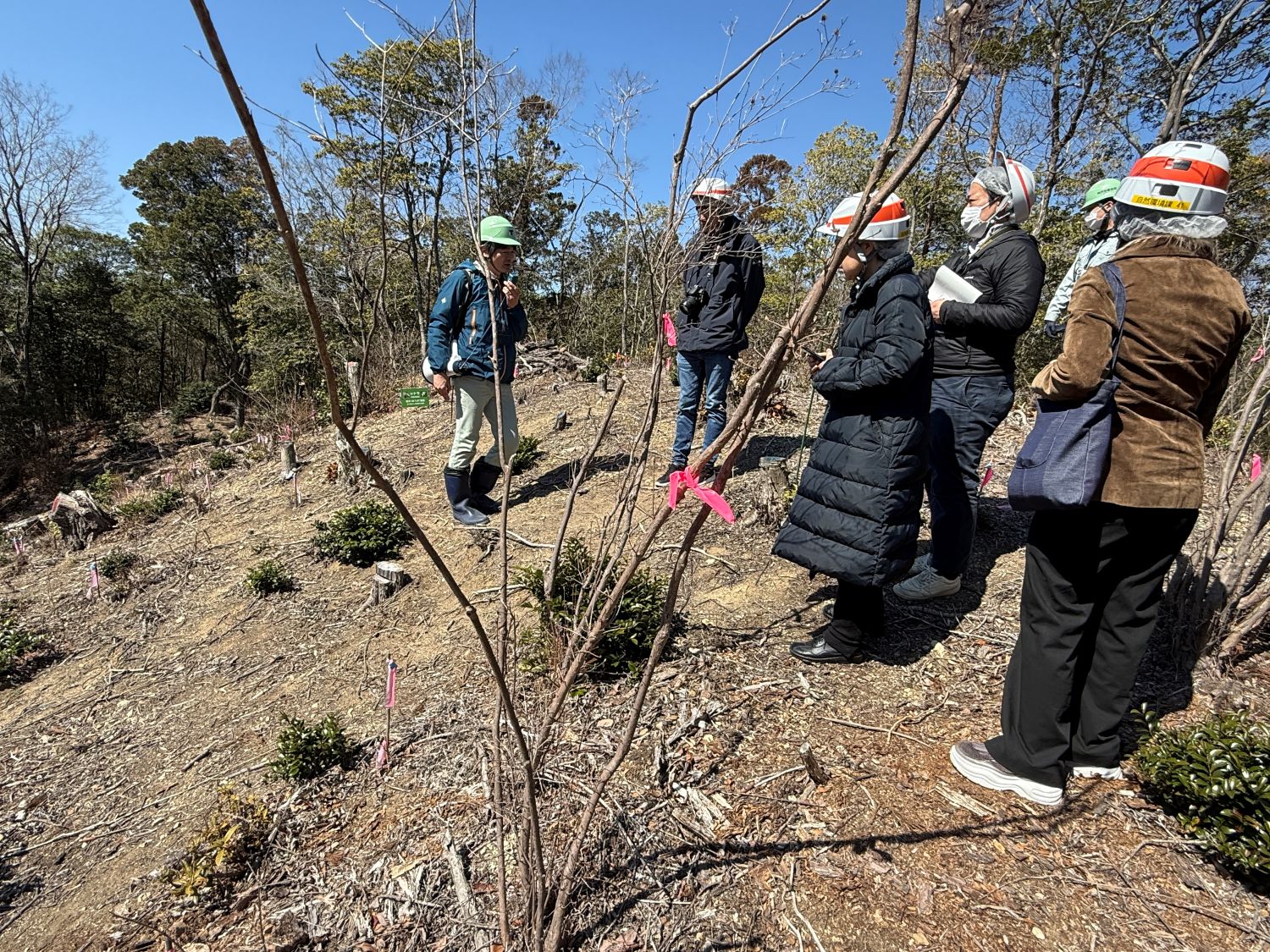 独自の「持続可能な都市経営モデル」公開　神戸市、先進的な取り組み巡るメディアツアー開催_写真１　里山再生の現場