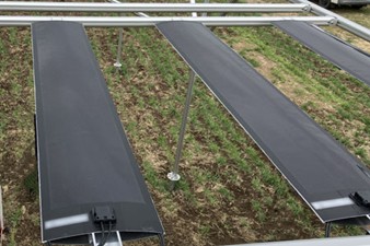 千葉大柏の葉キャンパスに設置されたペロブスカイト太陽電池