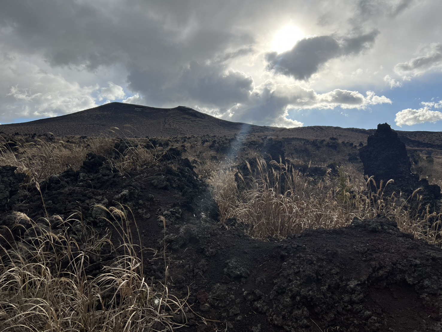 伊豆大島の裏砂漠