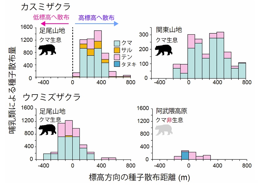 _　クマが植物の避難助ける　気候変動影響で　森林研ら　