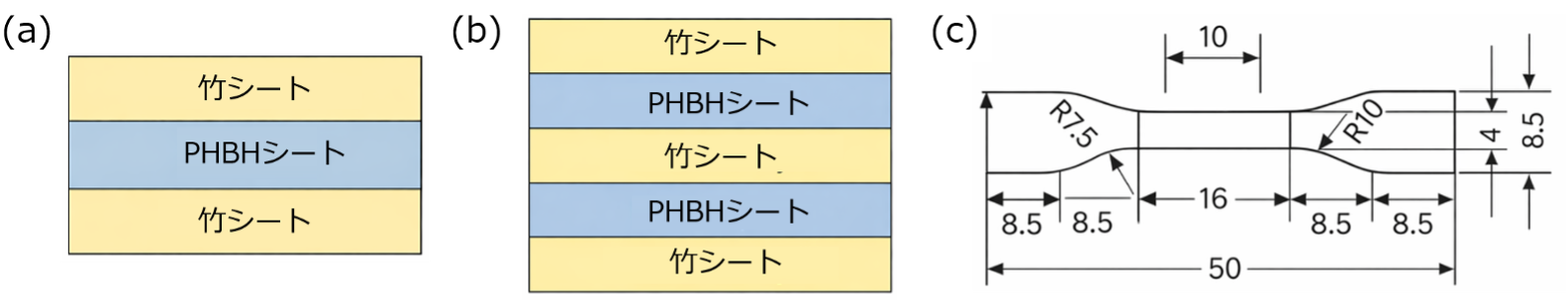_　高強度の生分解材料　竹シートの複合で　東北大　