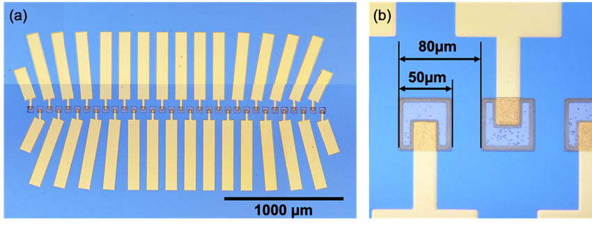 2604150305sekigaisensa