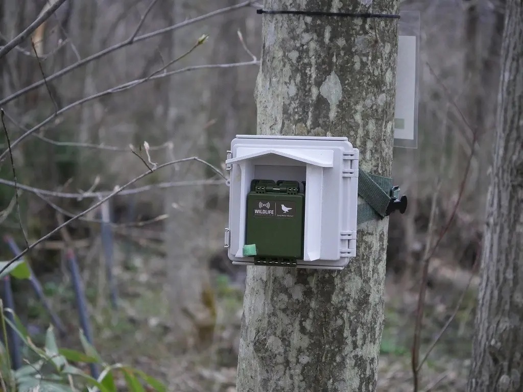 設置した録音機_　音響で生物多様性の調査　長野県の自然共生サイトで　サンクゼールら　