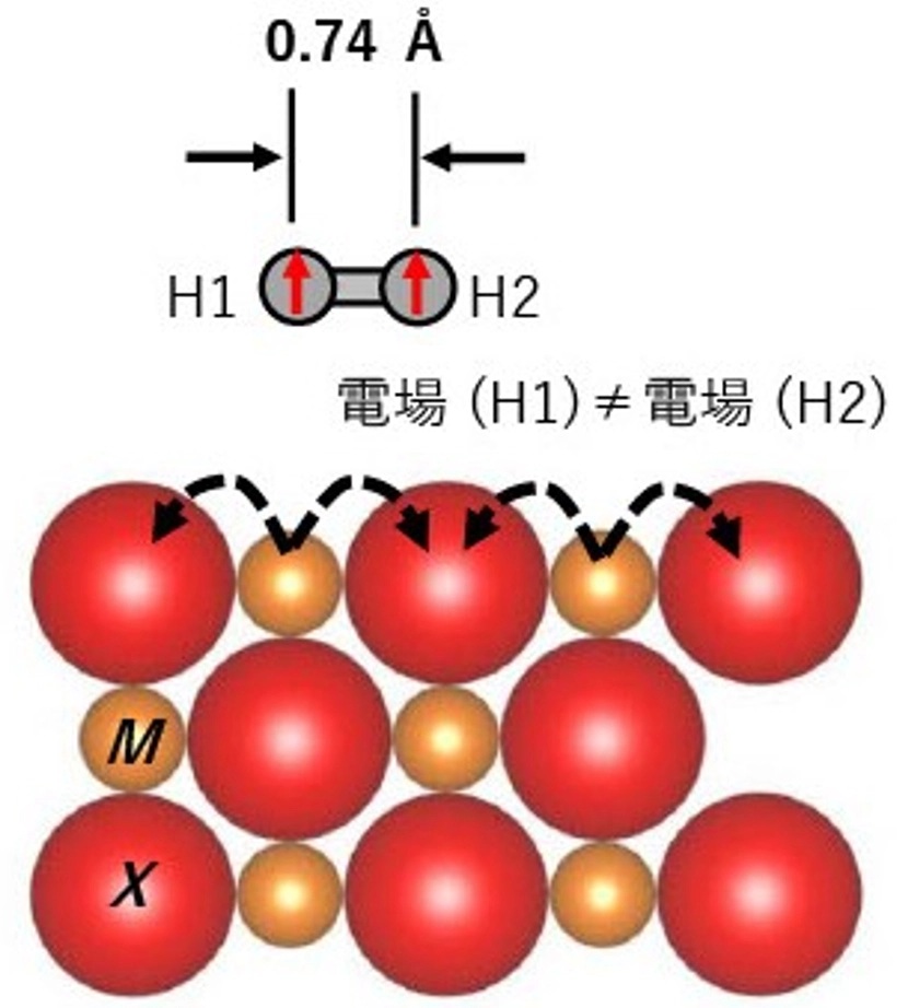 ?イオン結合性結晶?MX?に生じる表面電場の模式図。_　水素貯蔵の課題を解決　蒸発ロスを防ぐ触媒の発見