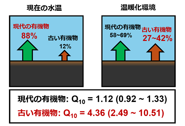 研究成果の概要（原著論文より改変）_　水圏堆積物の培養に新手法　温暖化による貧酸素化緩和に向けた手掛かりに
