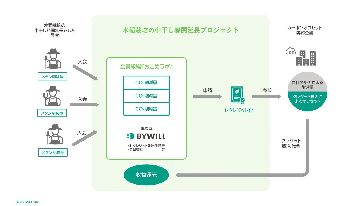 _　水稲栽培の「中干し」　Ｊクレ認証を取得　バイウィル　