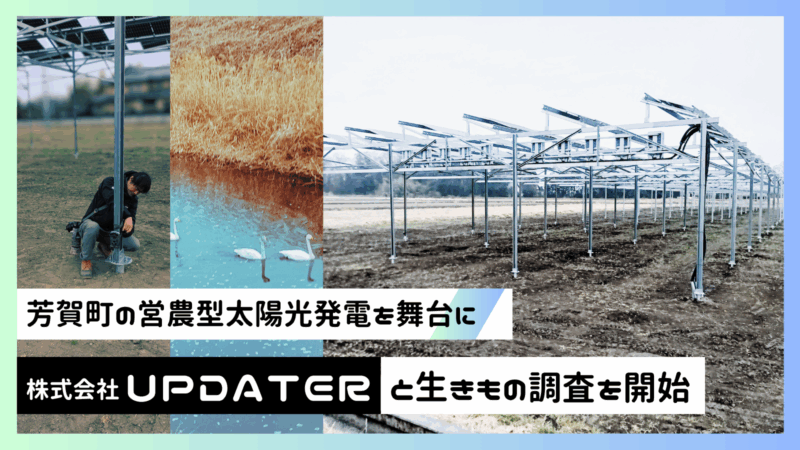 2605271004updater