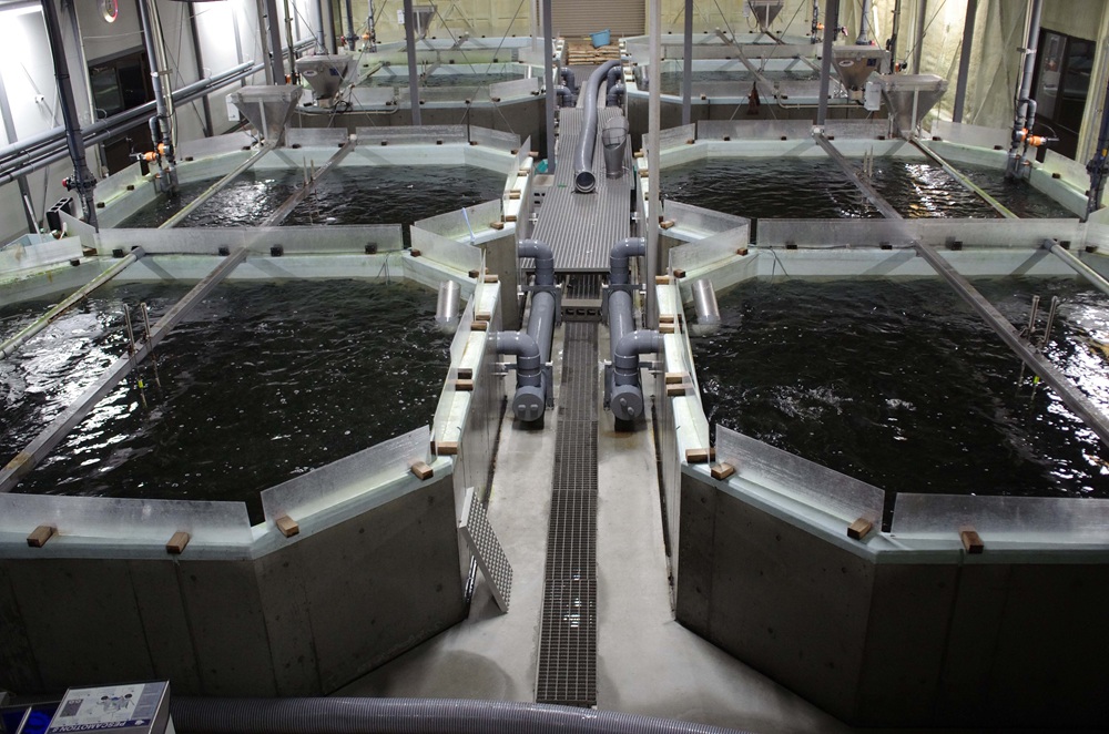 グランプリ賞　林養魚場グループ　レジリエントな日本の水産業に向けて 　日本初のサーモン循環式陸上養殖