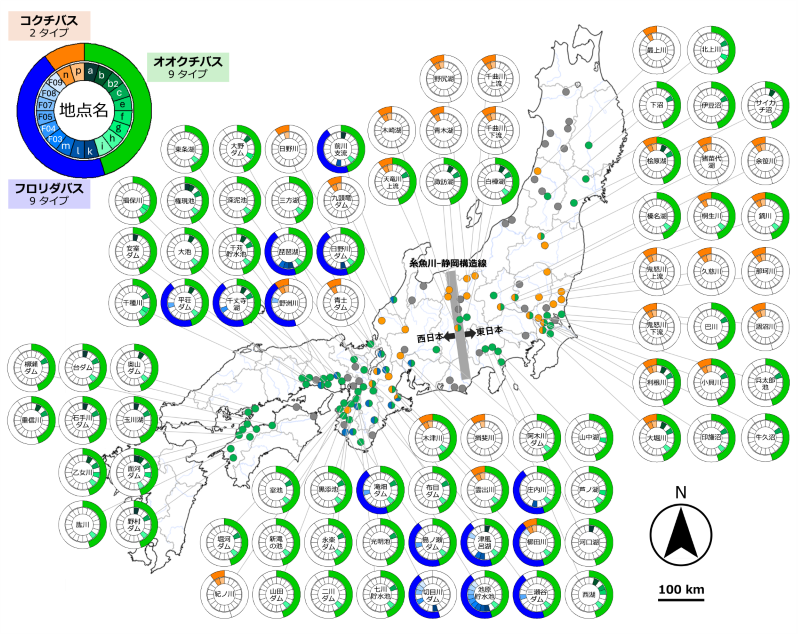 調査の概要
