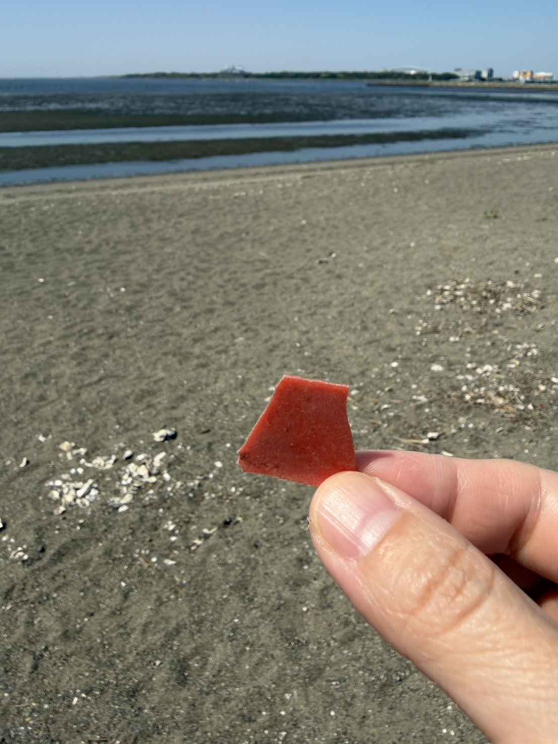 小さなプラスチックを集める会より