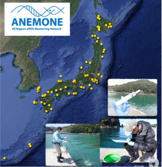 図１　ＡＮＥＭＯＮＥではこれまでに日本沿岸を中心に１千を超える地点で１万回以上の環境ＤＮＡ調査を実施、２８００種近い生物の分布を明らかにしている。図には定期観測地点を示している