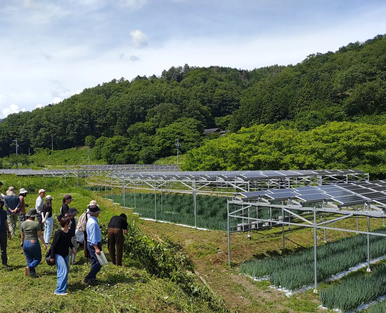 _　営農型太陽光の普及助成金　パブリックリソースが創設　母体はシンガポール系財団　