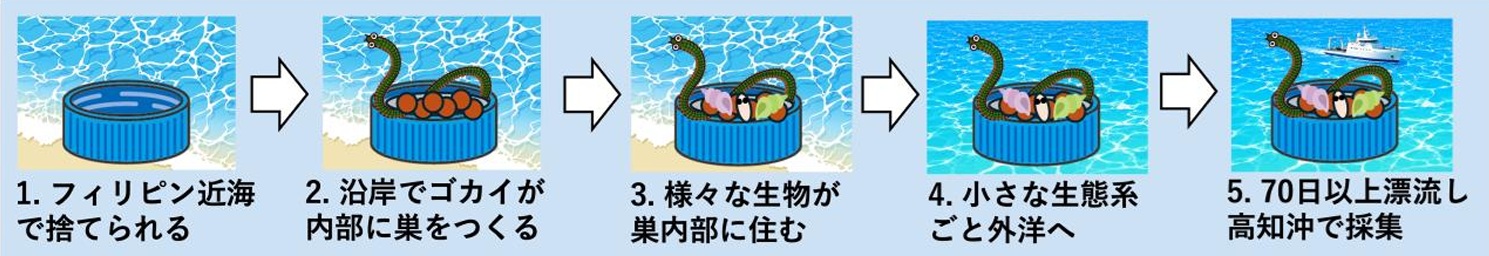 _　ボトルキャップ上の海洋生態系　70日掛け比沖から北上　名古屋大らが解明　