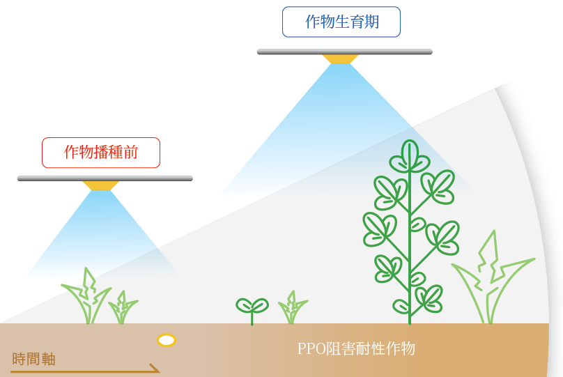 ラピディシルの特長イメージ_　住友化学、米国で新規除草剤「ラピディシル」を農薬登録　環境負荷の低い農業を後押し　