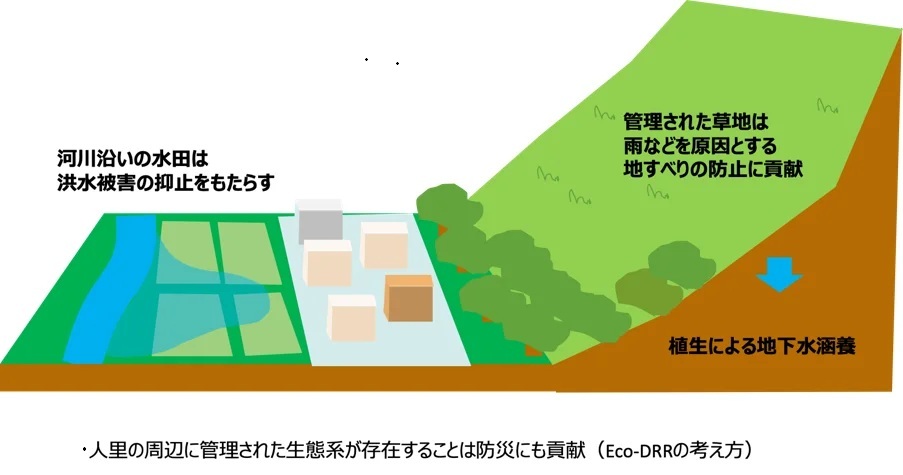 自然環境が持つ防災・減災機能（Eco-DRR）のイメージ_　熊本大学とシンク・ネイチャー、阿蘇の草原の「防災価値」を可視化　斜面崩壊リスクへのメカニズム検証へ