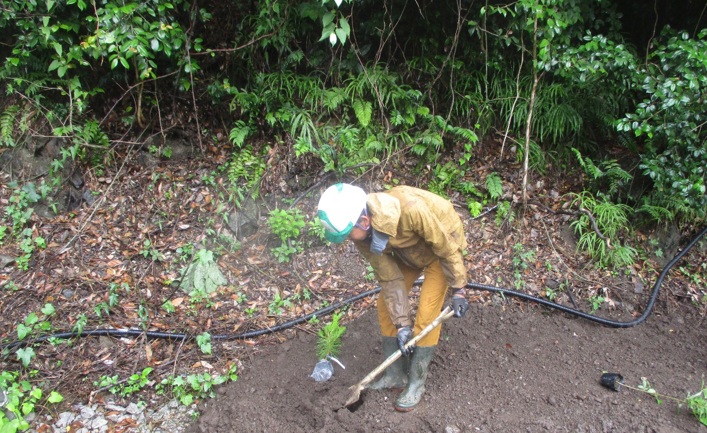 植林する様子_　成友興業、青梅事業所が建設発生土のストックヤード運営事業者に登録　　４万５千本の植林プロジェクトも始動　