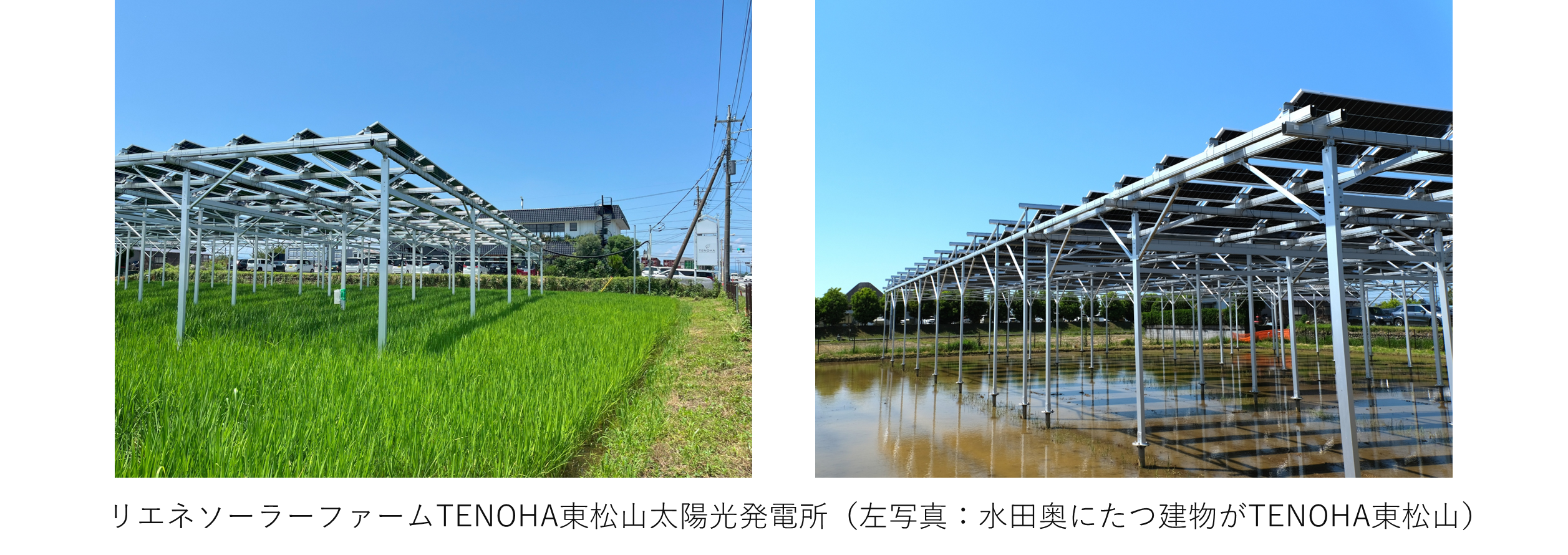 _　埼玉の営農型太陽光　ＴＥＲＲＡと協業　東急不　