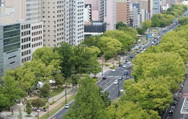 広島市の平和大通りの豊かな緑