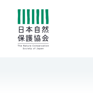 20260910_84.txt
